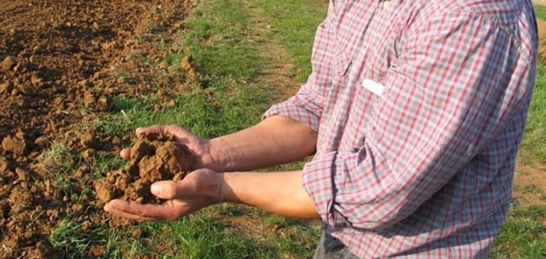 Agricoltura Agricoltura