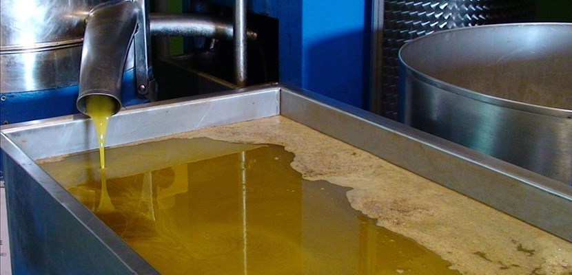 Olio Olio