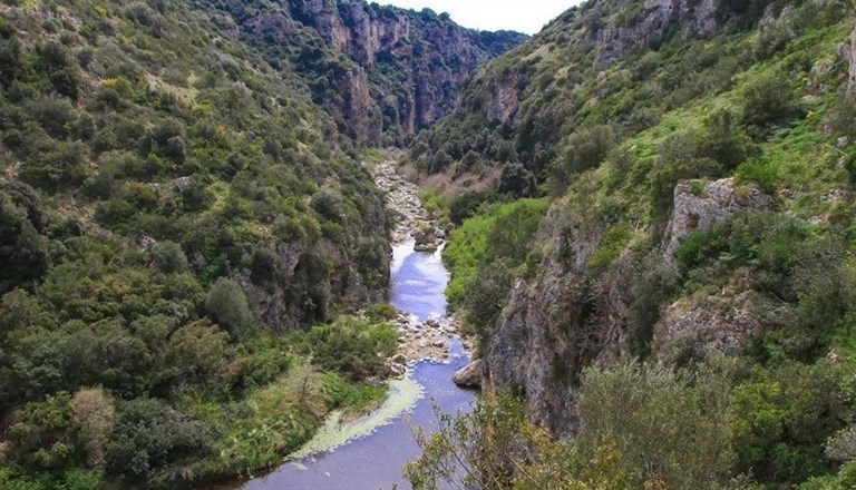 Gravina Grande di Castellaneta