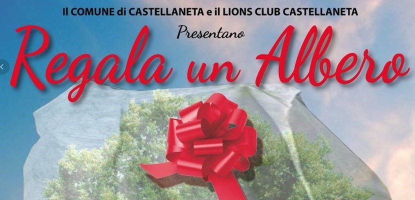 Regala un Albero Regala un Albero