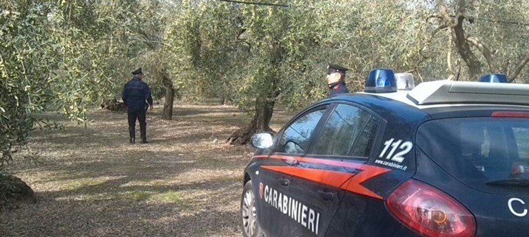 Puglia, campagne sotto scacco: furti di prodotti, trattori, rame e gasolio