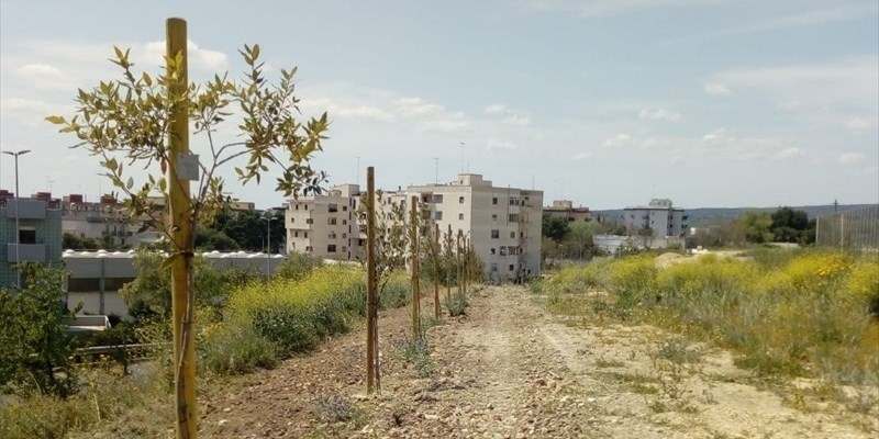 "Regala un albero": prime piantumazioni a Castellaneta