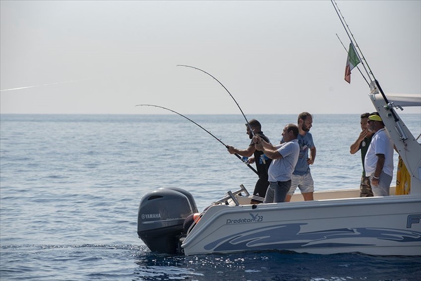 Campionato italiano di Traina d'Altura
