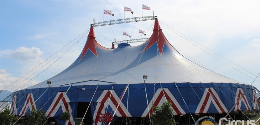 il circo il circo