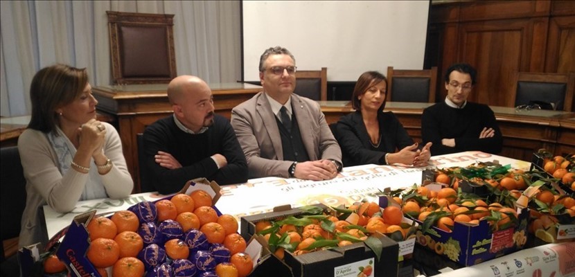 Presentazione sagra mandarino Presentazione sagra mandarino