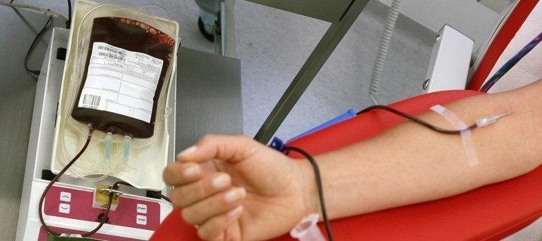 Donazione del sangue (immagine di repertorio)