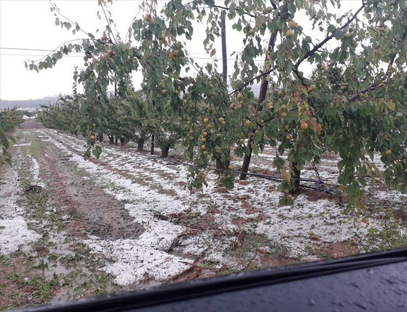 Maltempo a Mottola Maltempo a Mottola