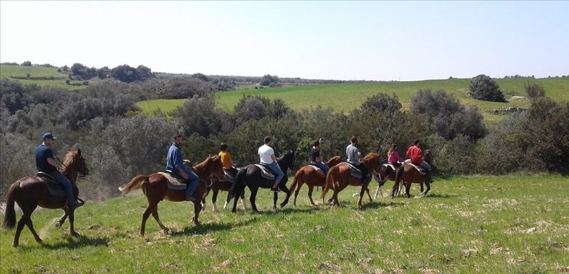 Passeggiata a cavallo con il "Cosmo Ranch" Passeggiata a cavallo con il "Cosmo Ranch"