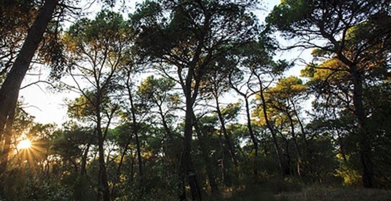 La Riserva Stornara La Riserva Stornara