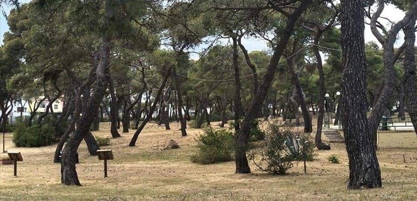 Parco comunale Marina di Ginosa Parco comunale Marina di Ginosa