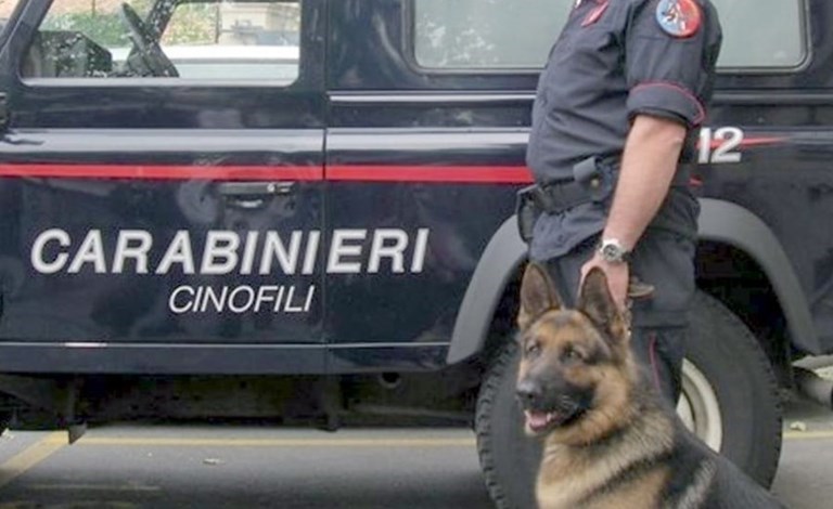 Carabinieri cinofili