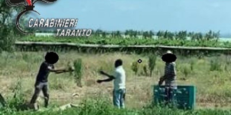 Caporalato: maxi multa e guai seri per un castellanetano
