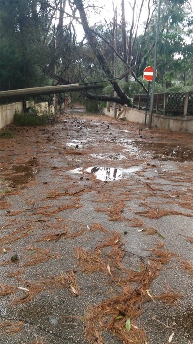 Nubifragio su Castellaneta Marina: la conta dei danni