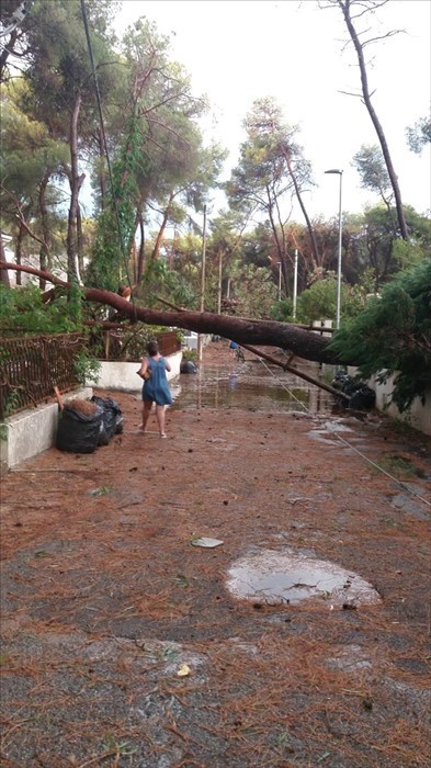 Nubifragio su Castellaneta Marina: la conta dei danni