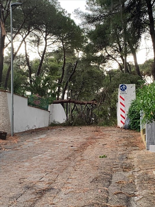 Nubifragio su Castellaneta Marina: la conta dei danni