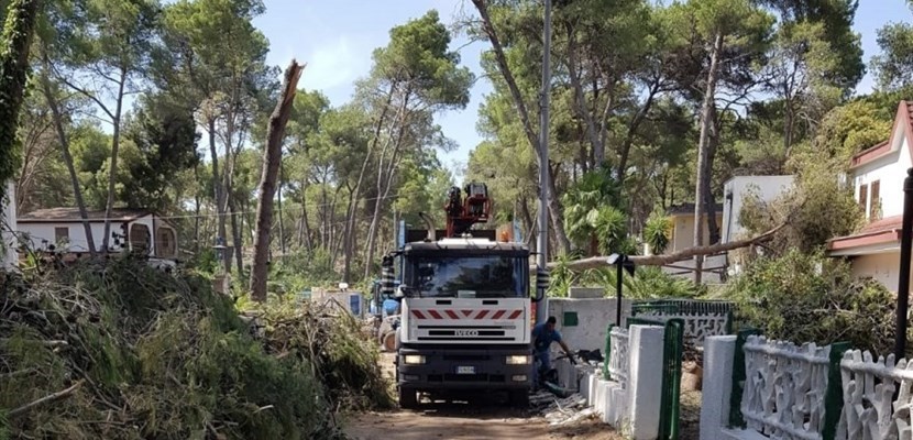 Emergenza Castellaneta Marina, ritiro materiale legnoso: le disposizioni del Comune