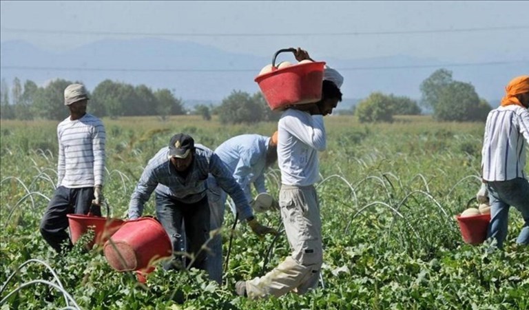Immigrati sfruttati nei campi: nuovo arresto per caporalato a Ginosa