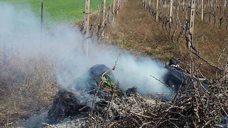 Un rogo di rifiuti Un rogo di rifiuti
