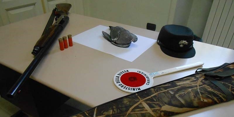 Castellaneta Marina: i Forestali sequestrano armi e fauna selvatica ad un cacciatore