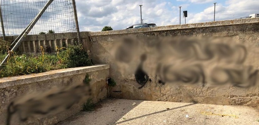 Scritte oscene sui muretti della chiesa, vandali a segno a Castellaneta