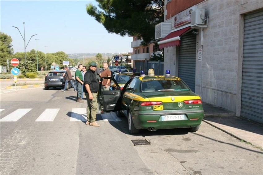 Le Guardie ecozoofile a Mottola