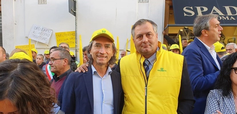 Colidetti Colidetti