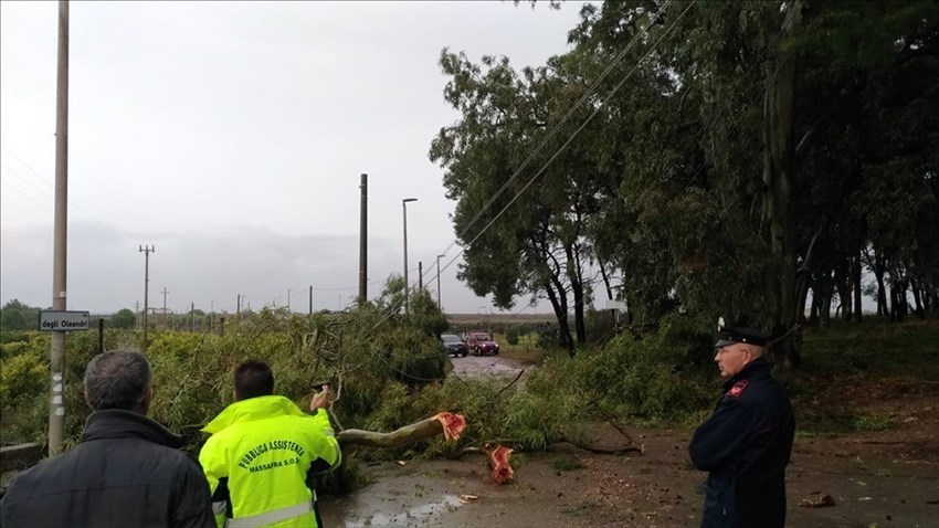 Alberi caduti all'ingresso di Chiatona in via Oleandri - Massafra