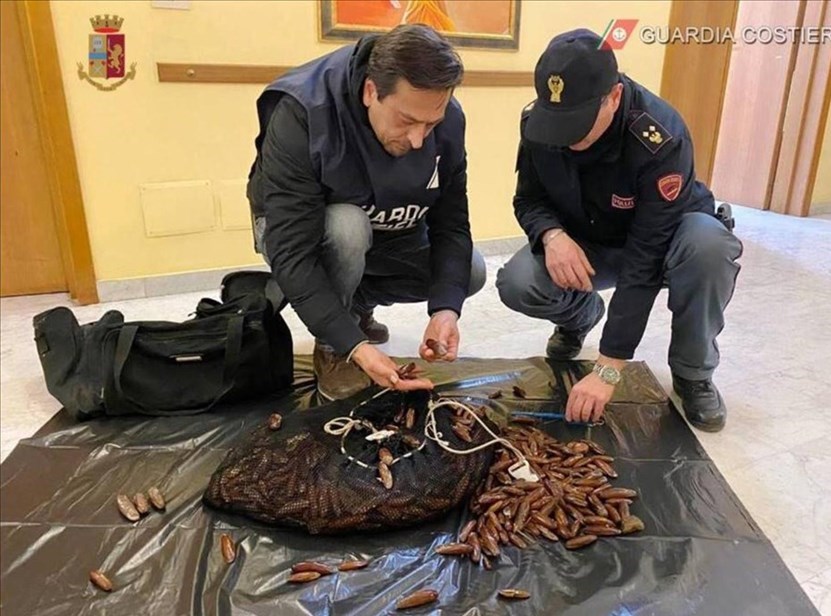 Il materiale sequestrato Il materiale sequestrato