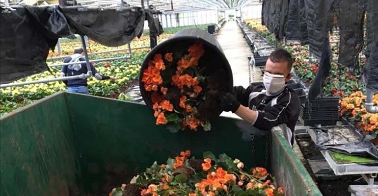 Agricoltura: a Taranto imprese al collasso, Cia Due Mari scrive al Prefetto