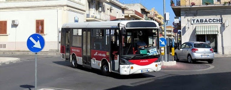 Bus Miccolis