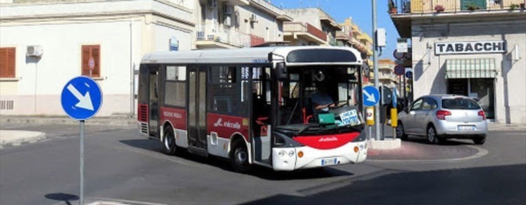 Bus Miccolis Bus Miccolis