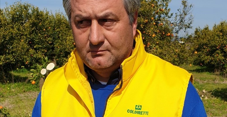 Alfonso Cavallo, presidente Coldiretti Taranto Alfonso Cavallo, presidente Coldiretti Taranto
