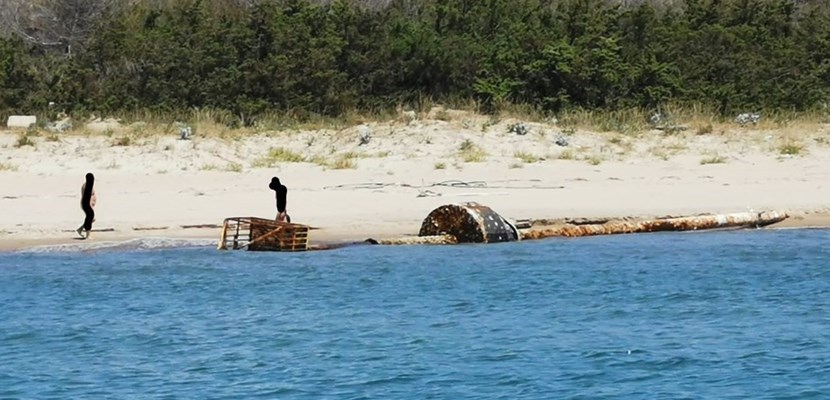 La boa alla deriva