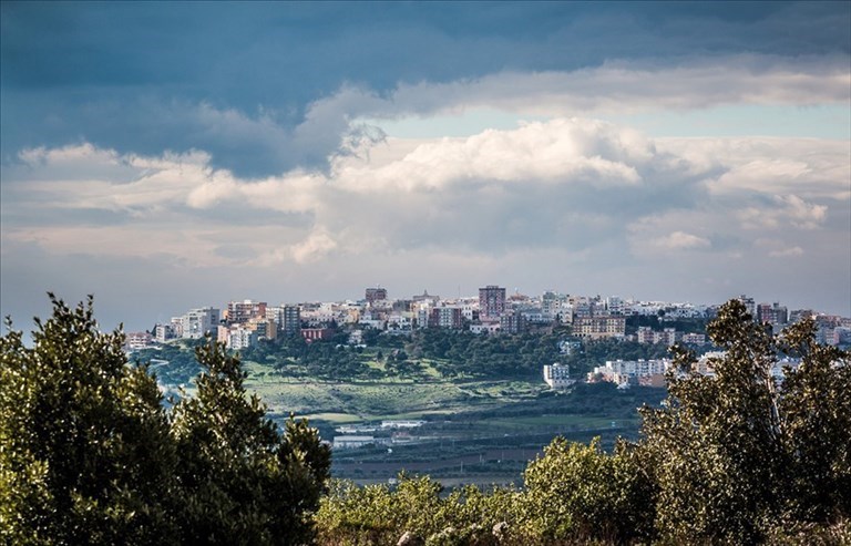 Mottola