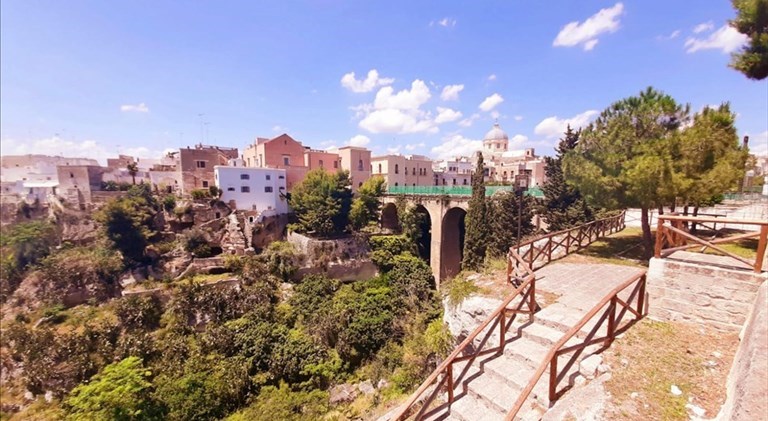 Eliminazione ailanto: tutto pronto per i lavori nella gravina San Marco