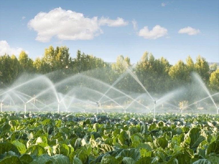 Irrigazione Irrigazione