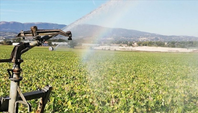 STAGIONE IRRIGUA STAGIONE IRRIGUA