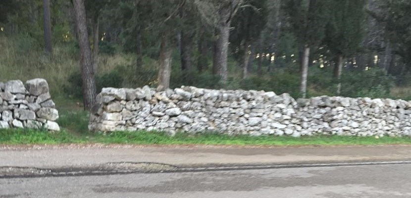 La strada provinciale che costeggia la pineta comunale di Laterza La strada provinciale che costeggia la pineta comunale di Laterza