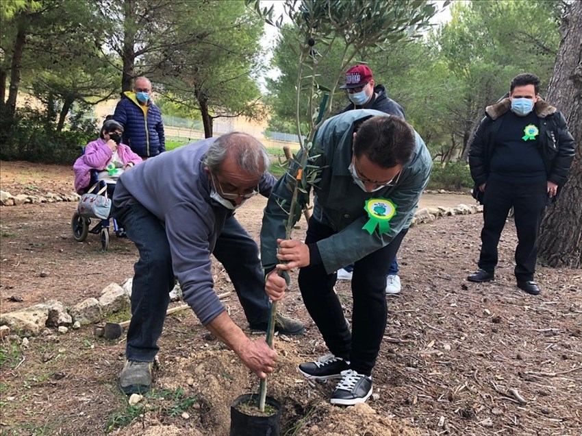 La celebrazione della "Giornata Nazionale degli Alberi" a Massafra