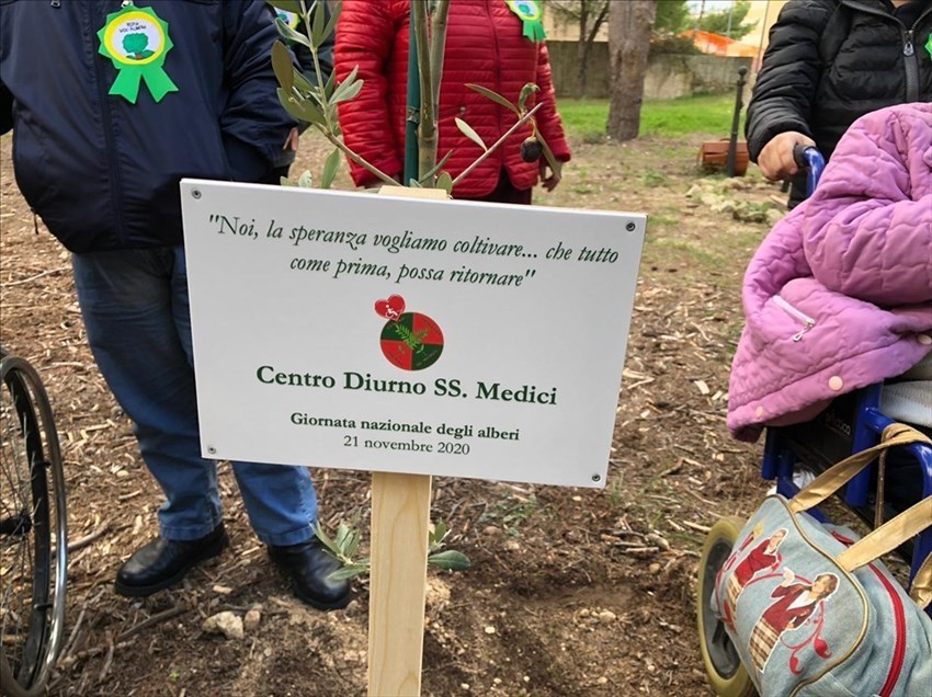 La celebrazione della "Giornata Nazionale degli Alberi" a Massafra