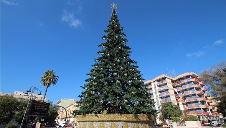 Maestoso albero di Natale a Massafra Maestoso albero di Natale a Massafra