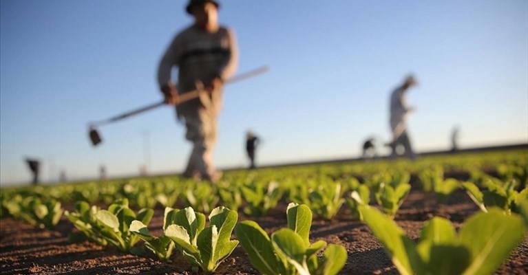 Agricoltura Agricoltura