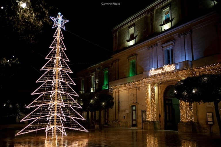 Il grande albero di piazza XX Settembre