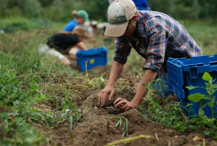 VISITE MEDICHE, DIRITTO AL CONTRIBUTO SULLE SPESE SOSTENUTE DALLE IMPRESE AGRICOLE