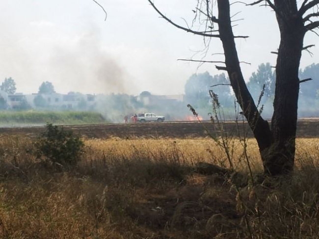 CASTELLANETA MARINA, INCENDIO NEI PRESSI DI VIA SCOTT CASTELLANETA MARINA, INCENDIO NEI PRESSI DI VIA SCOTT