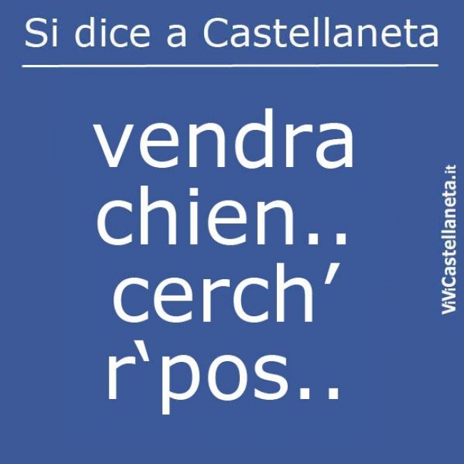 VENDRA CHIEN... VENDRA CHIEN...