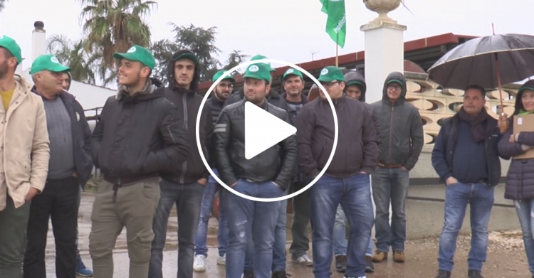 RIORGANIZZAZIONE AZIENDALE: A CASTELLANETA FORMATI 15 LAVORATORI AGRICOLI