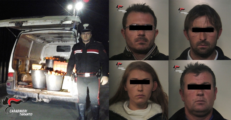 CASTELLANETA, ARRESTATI QUATTRO LADRI DI ARANCE CASTELLANETA, ARRESTATI QUATTRO LADRI DI ARANCE