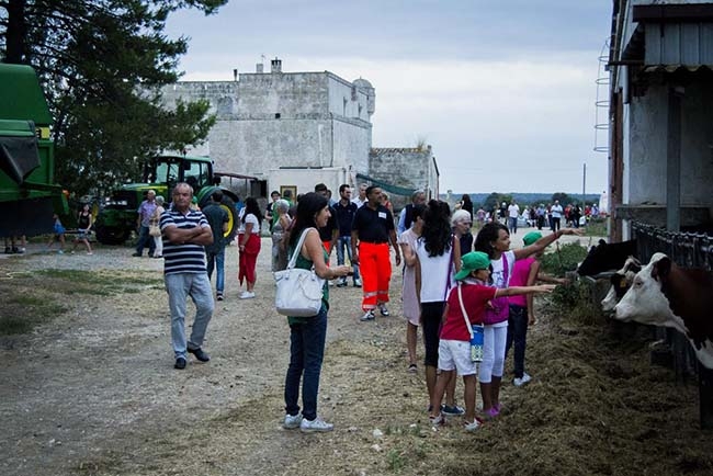 MASSERIA SOTTO LE STELLE...INSIEME CON LA PIZZICA , SUCCESSO PER LA TERZA EDIZIONE MASSERIA SOTTO LE STELLE...INSIEME CON LA PIZZICA , SUCCESSO PER LA TERZA EDIZIONE