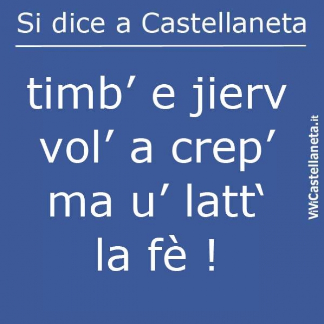 TIMB TIMB